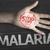 Logran una vacuna que consigue protección total contra la malaria