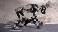 Ingenieros presentan un 'robot mono' capaz de controlar sus movimientos 